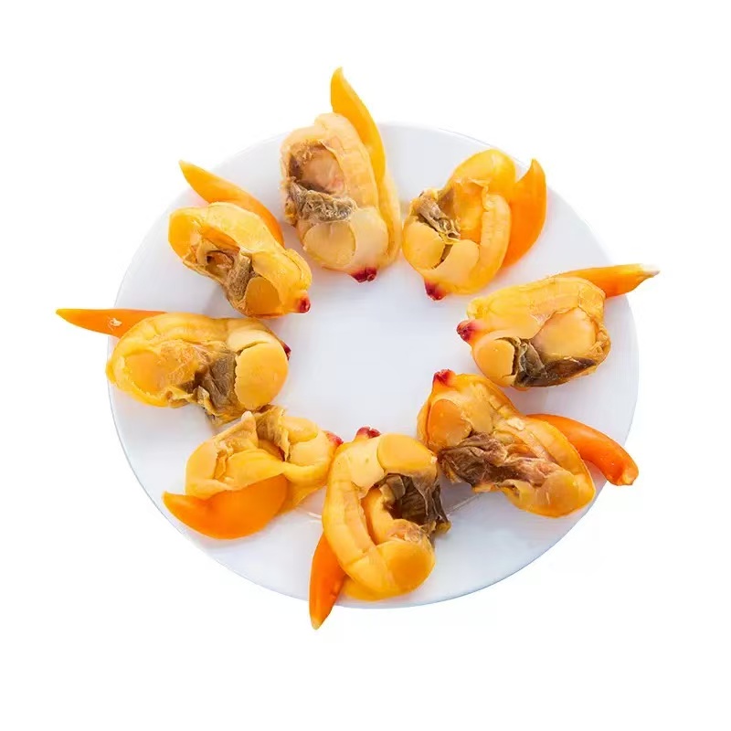 الصخور المجففة